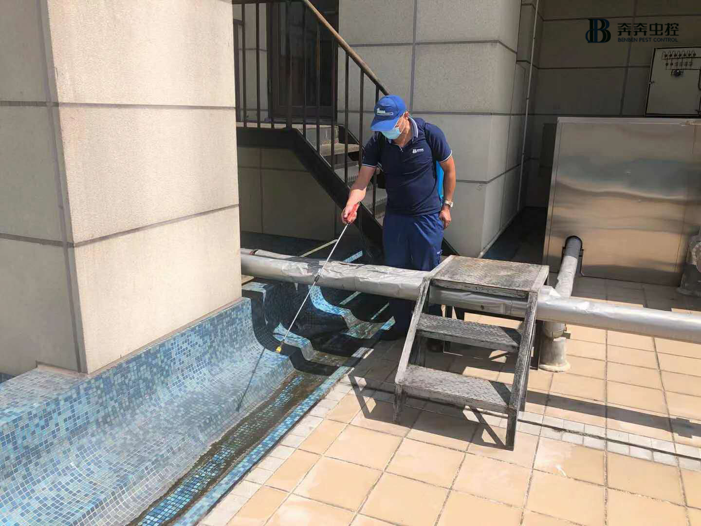 專業(yè)殺蟲公司，24小時隨時響應(yīng)！