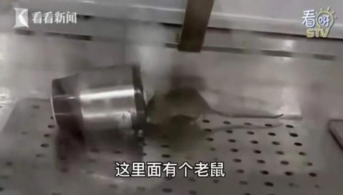 食品柜里老鼠亂竄？紫燕百味雞部分門店停業(yè).