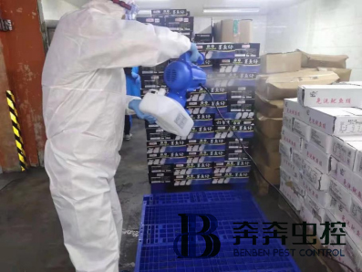 進口冷鏈?zhǔn)称肥侨绾蜗镜模? class=