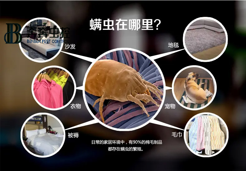 每天都和蟲蟲睡在一起？