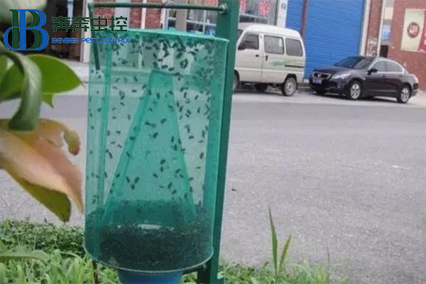 消滅蒼蠅，你知道有多少招嗎？