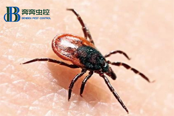 蜱蟲的科學(xué)防治