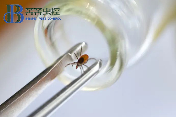 親近大自然，謹(jǐn)防被蜱蟲“叮”上