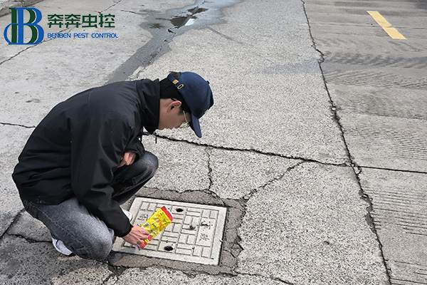 “衛(wèi)”愛守護，健康校園！消滅四害，人人有責